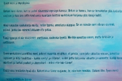 Typografinen kuvataiteen projekti 2010