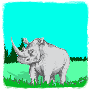 Sarvikuono kuvitus
